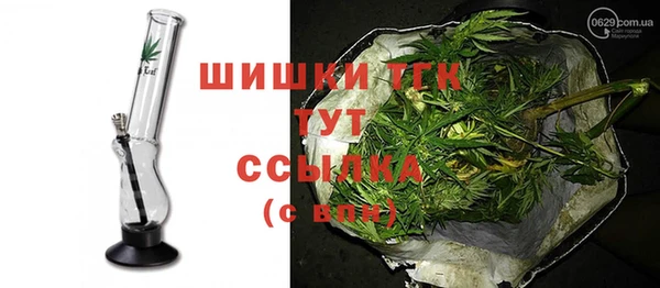 стаф Богданович