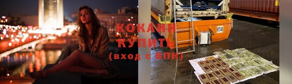стаф Богданович