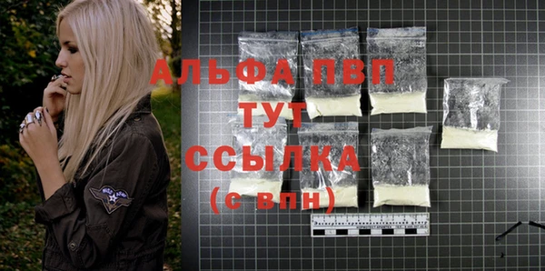 стаф Богданович