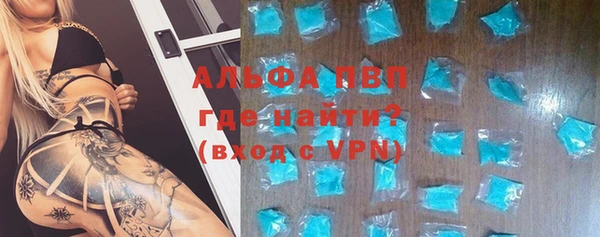 стаф Богданович