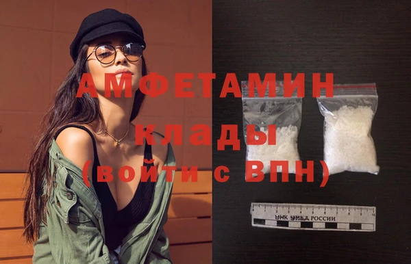стаф Богданович
