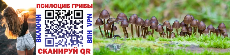 закладка  Курск  это состав  Псилоцибиновые грибы MAGIC MUSHROOMS 